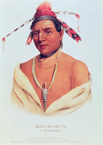 Portrait of Mar-Ko-Me-Te, A Menomene Brave, 1838 by Charles Bird King